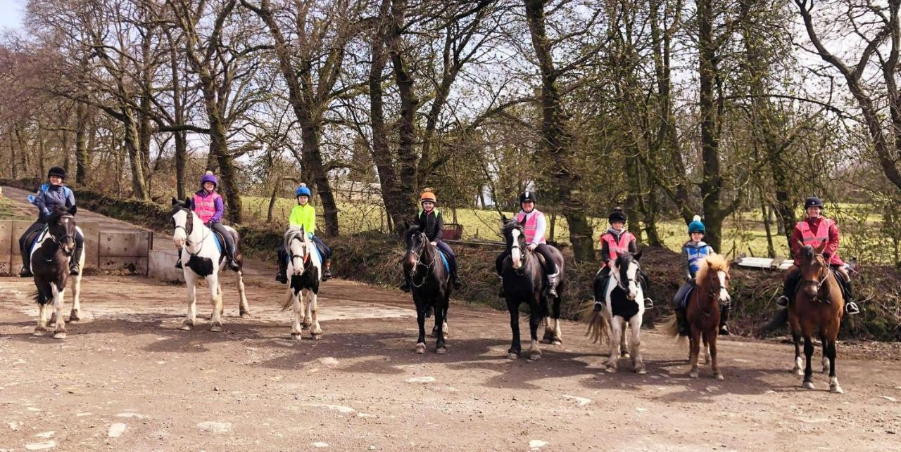 Lodge Wellsfield Farm *